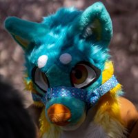 Malibu 🩵💛 (@malibudayy) 's Twitter Profile Photo Malibu 🩵💛 (@malibudayy) 's Twitter Profile Photo