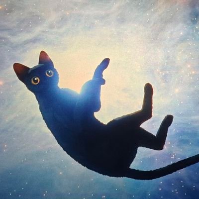 Brimingham0423's profile picture. 