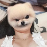 ikaa๐ (@babyikaa_) 's Twitter Profile Photo ikaa๐ (@babyikaa_) 's Twitter Profile Photo