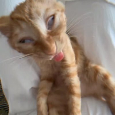 MSJBMY's profile picture. 