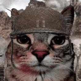 I Rarely check DMs, every post here is a joke.
Bi
writer :3
Privt acct for moots only: @VerprivateDarth
Big fan of tanks
