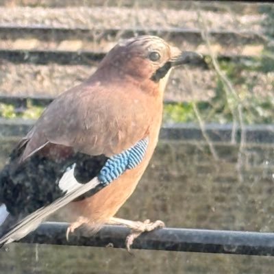 views are my own Just joined BlueSky: @srg401.bsky.social