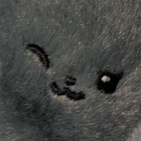 こじ (@koji_zero_8) 's Twitter Profile