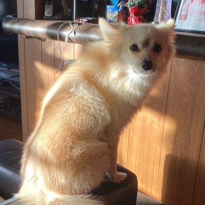 Lunchun778's profile picture. All the gear, no idea. 90% technical, 10% macro.