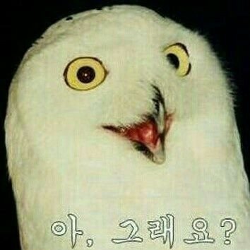 주로하는 게임 사볼/마이마이/디맥/작혼/폴가/카트
리듬게임 좋아해요!
우락 본진:의정부 죠코 게임플러스
오락실에서 말걸어 주셔도 도망안갑니다! 편하게 와주세요!