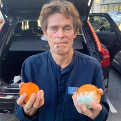 searchandistroy's profile picture. orange (questionable)