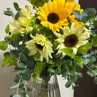 こころ (@m_kokoro2025) Twitter profile photo