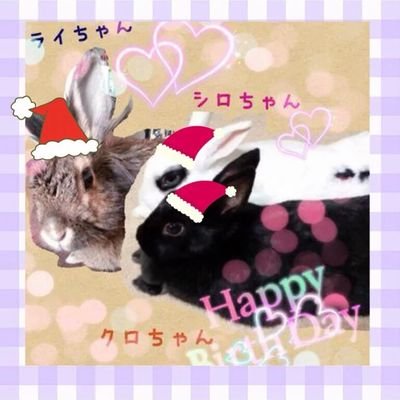通りすがりのおっさん🤣🤣🤣さんのプロフィール画像