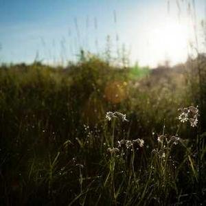 CowboyEvec81201's profile picture. 