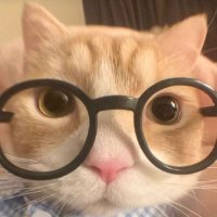 𝓑𝓲𝔀_𝓳𝓾𝓽𝓱𝓪𝓻𝓪𝓽(สำรอง) (@bb_jutharat04) 's Twitter Profile