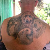 André Jacobs van Es (@andrevanes) 's Twitter Profile