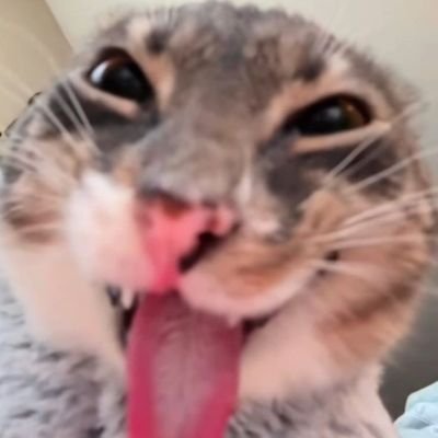 that one queer that doesnt play abt the red shoes, maurice and the hobbit and is eowyns wife