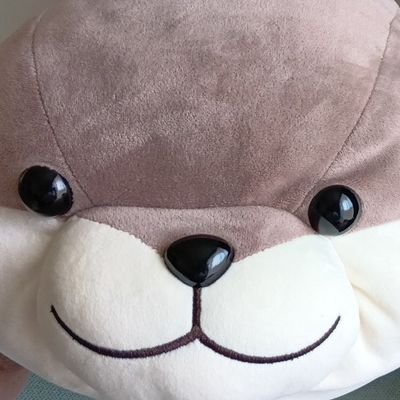 @piging13
