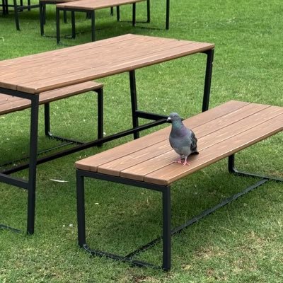 ＼(´・∀・｀)／んバッ