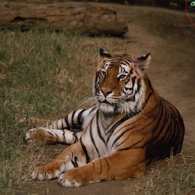 mertcannyurttas's profile picture. 
