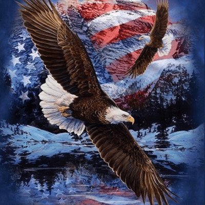 I have nothing to fear, because God is my shield and protection. Falsehood and filth will be exposed, and the light of justice will triumph over darkness!