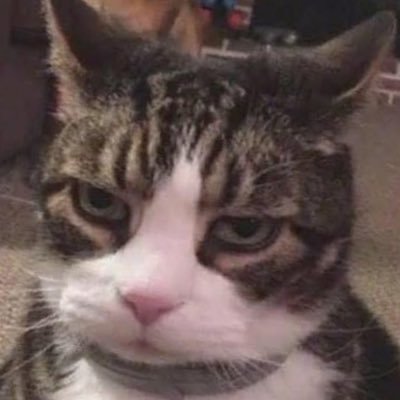 KrarxkNiranam's profile picture. เอาไว้ใช้…บ้าๆบอๆในวันว่างๆ 😾🐣🫶🏻
