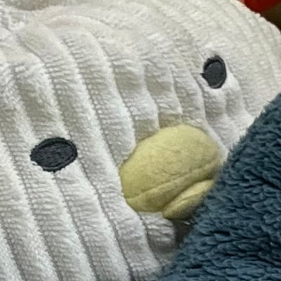 lia | she/her | lesbian | i have a million opinions and you will listen | saw sacabambaspis on 01/06