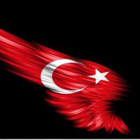 Orhan Unal (@triling0244) 's Twitter Profile Photo