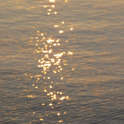 i02_tm's profile picture. 