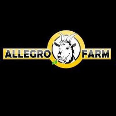 DeniIrgan82's profile picture. 