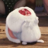 상느님 (@leosangjun) 's Twitter Profile Photo 상느님 (@leosangjun) 's Twitter Profile Photo