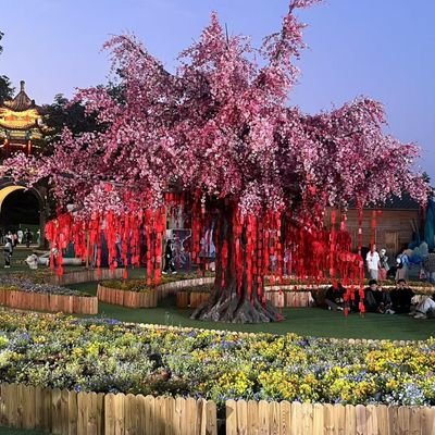 S65w11M78CQhgT's profile picture. もしあなたが経済的に困窮しているなら、私に連絡して、あなたを助けることができるかもしれません