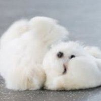 허브 (@_he_rb) 's Twitter Profile