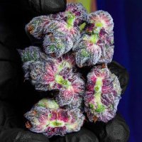 vente de drougue weed shit cannabis (@carte70129) Twitter profile photo