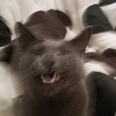 MatthewSow74223's profile picture. 