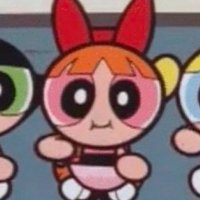 -k 🐱 (@litesoya) 's Twitter Profile