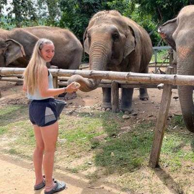 Georgieleech318's profile picture. 