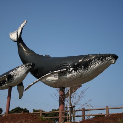 ギター、登山、カメラが趣味。吉田拓郎さんと愛犬ななが大好きです。アルコール依存症経験者。双極性障害とともに生きています。YouTubeやってますhttps://t.co/YppXa1TZPh