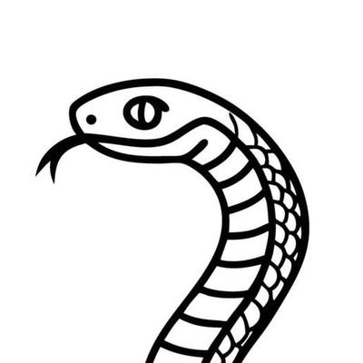 MrSnek75's profile picture. haha snek go hisssss ☭⃠