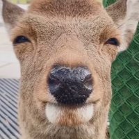 暇人🌸☄️🌽 (@himazin_35p) 's Twitter Profile Photo 暇人🌸☄️🌽 (@himazin_35p) 's Twitter Profile Photo