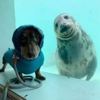 Asta_fan (@astafan99175610) 's Twitter Profile Photo