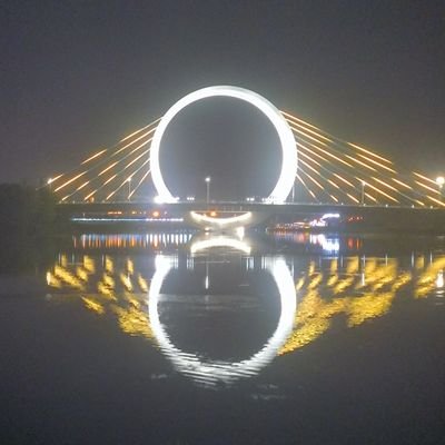 Roger06131's profile picture. 