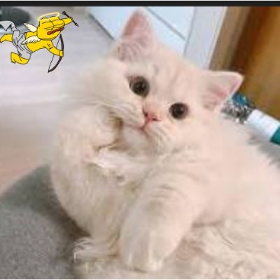 khanguyen220585's profile picture. 