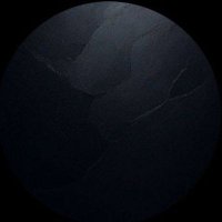 Elon (Maximus)🚀 (@elondm85964) 's Twitter Profile