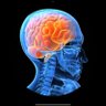 TheBio_Hunter's profile picture. Hunting the risky jungle of biotech in search of opportunity, good science, and measured risk. Seasoned trader, x-sell side, x-founder & entrepreneur