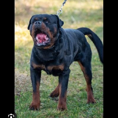 hahuhau56's profile picture. 