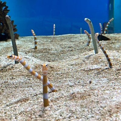 clala0301's profile picture. 人生いろいろ～と…前向きに。好奇心旺盛の食いしん坊！ スペイン大好き！阪神タイガースとユーミン、原田マハさんの小説が好きです。美術館めぐりも好きです。