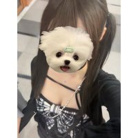 青木澪 (@armari030) 's Twitter Profile Photo 青木澪 (@armari030) 's Twitter Profile Photo