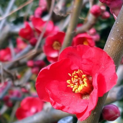 lisakai263's profile picture. 🏔️ビーチ🏖️と山が大好きです。🌹庭園や美しい花など、自然のある場所も大好きです。温泉♨️も最高です👋フォローありがとうございます。# ありがとうございます💝