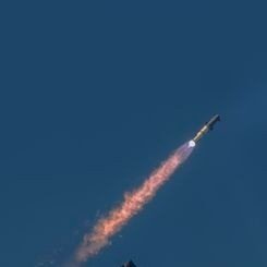 kingelon056's profile picture. 