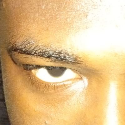donbeleman's profile picture. メモ帳