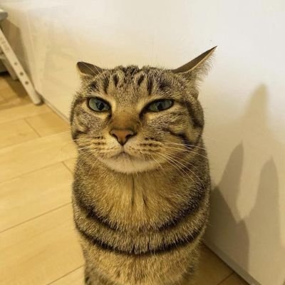 0M_ck's profile picture. Discord:  0Mack   ROBLOX: 0M_ck