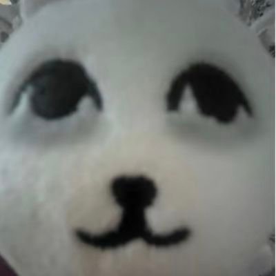 y2466233634425's profile picture. 睡觉