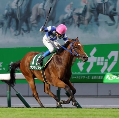 Eito8_Sakai's profile picture. 岩手競馬騎手
水沢競馬場 菅原勲厩舎所属
2024.4.7〜
2025.7.6 サファイア賞 芝1700m M3
サンカリプソ号で重賞初騎乗初勝利🐎