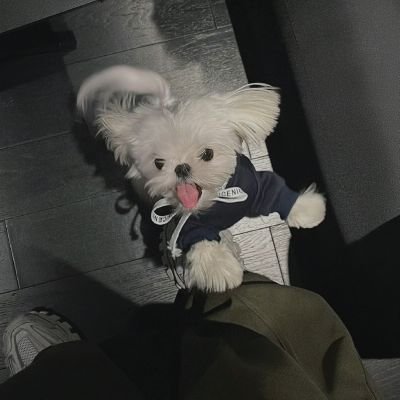 213019273ljq's profile picture. 讀書、旅行、思考，用不同角度看世界🇹🇼🇺🇦🇺🇸🇮🇱🇯🇵